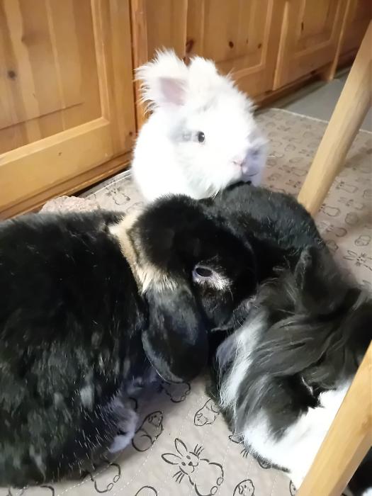 Klicke auf die Grafik f�r eine gr��ere Ansicht

Name:	IMG-20251116-WA0078.jpg
Hits:	0
Gr��e:	176,8 KB
ID:	215396