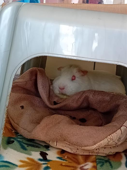 Klicke auf die Grafik fr eine grere Ansicht

Name:	IMG-20251116-WA0083.jpg
Hits:	0
Gre:	177,5 KB
ID:	215399