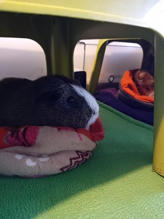 Klicke auf die Grafik fr eine grere Ansicht

Name:	IMG-20251116-WA0087.jpg
Hits:	0
Gre:	136,0 KB
ID:	215400