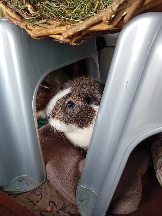 Klicke auf die Grafik fr eine grere Ansicht

Name:	IMG-20251116-WA0084.jpg
Hits:	0
Gre:	184,7 KB
ID:	215401