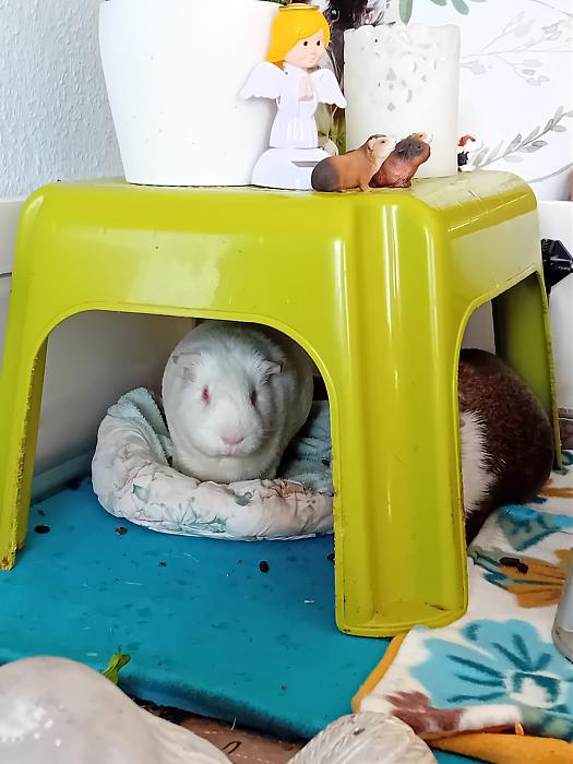 Klicke auf die Grafik fr eine grere Ansicht

Name:	IMG-20251116-WA0082.jpg
Hits:	0
Gre:	189,5 KB
ID:	215403