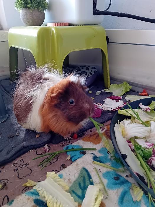 Klicke auf die Grafik fr eine grere Ansicht

Name:	IMG-20251116-WA0080.jpg
Hits:	0
Gre:	198,7 KB
ID:	215404