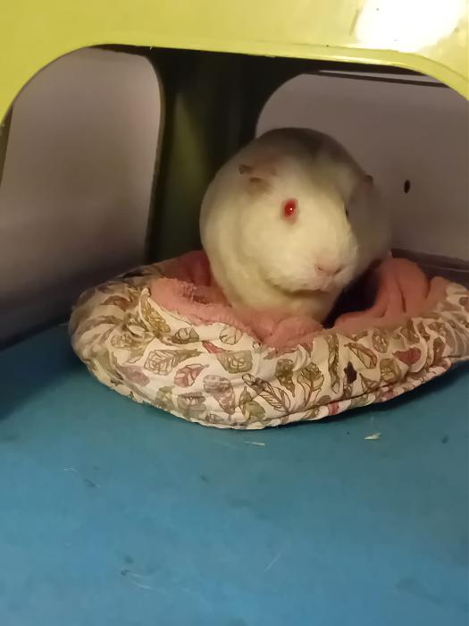 Klicke auf die Grafik fr eine grere Ansicht

Name:	IMG-20251116-WA0081.jpg
Hits:	0
Gre:	118,8 KB
ID:	215405