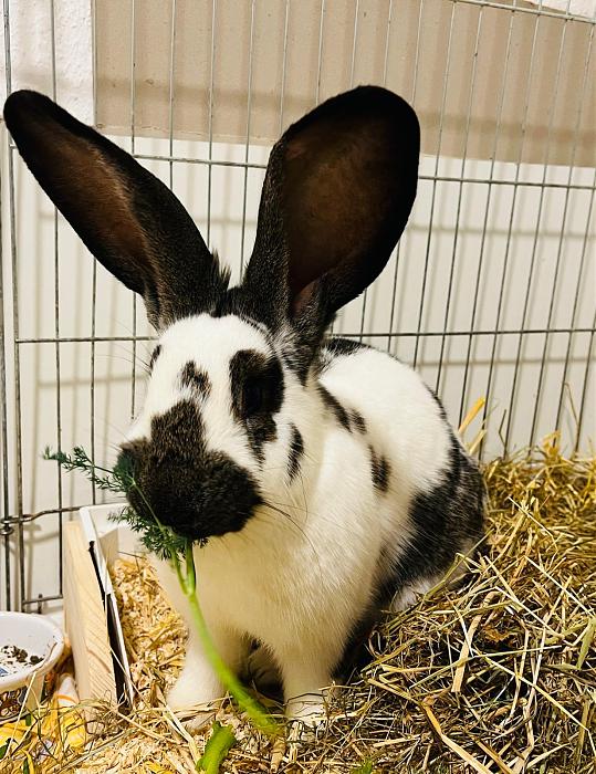 Klicke auf die Grafik fr eine grere Ansicht

Name:	IMG_8312.jpg
Hits:	0
Gre:	61,8 KB
ID:	215414