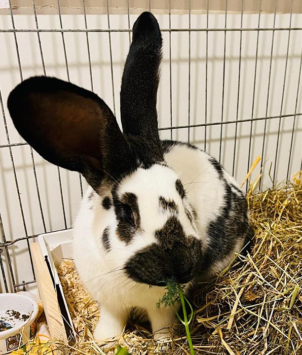 Klicke auf die Grafik fr eine grere Ansicht

Name:	IMG_8314.jpg
Hits:	1
Gre:	66,3 KB
ID:	215415