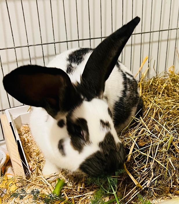 Klicke auf die Grafik fr eine grere Ansicht

Name:	IMG_8313.jpg
Hits:	1
Gre:	68,9 KB
ID:	215416