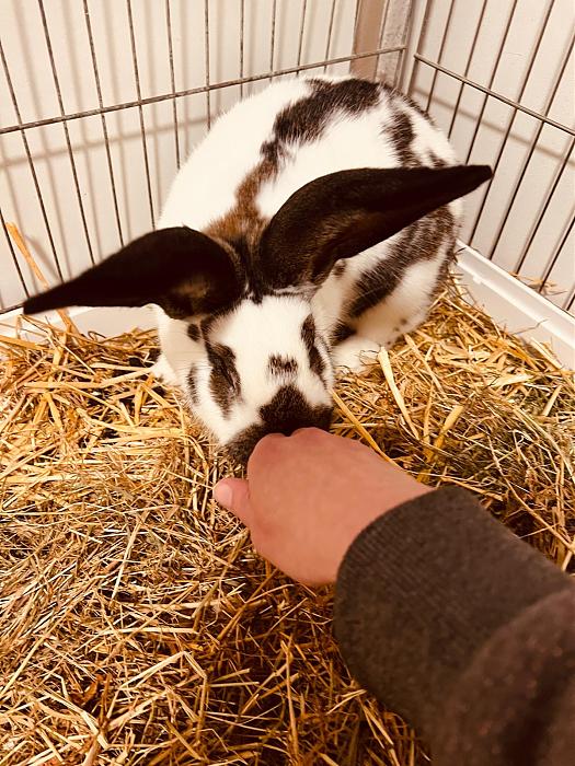 Klicke auf die Grafik fr eine grere Ansicht

Name:	5f6c5104-7867-4fc9-9647-e4292dfa7f55.jpg
Hits:	0
Gre:	67,3 KB
ID:	215423