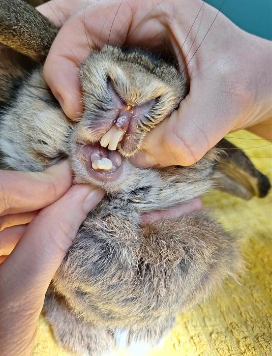 Klicke auf die Grafik fr eine grere Ansicht

Name:	Screenshot_20251118_225019_Gallery.jpg
Hits:	1
Gre:	206,6 KB
ID:	215427