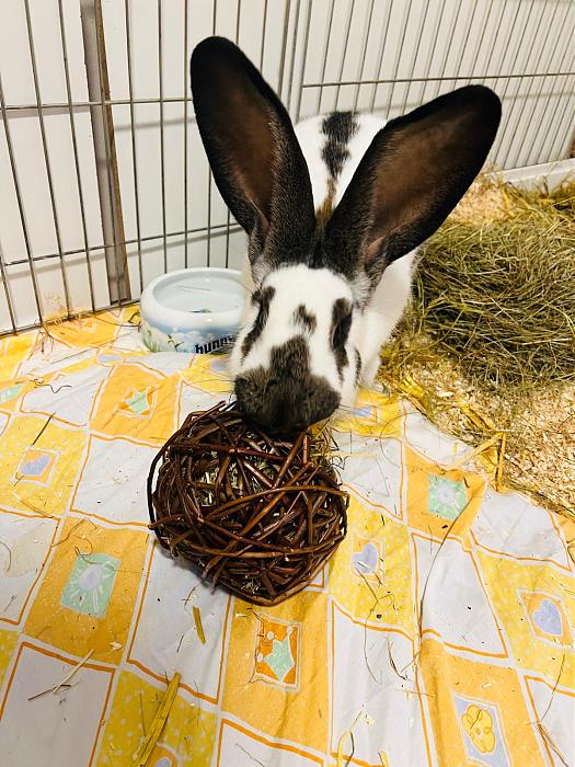 Klicke auf die Grafik fr eine grere Ansicht

Name:	f0964d73-e06f-4ca4-8bac-d183bacec03f.jpg
Hits:	0
Gre:	59,7 KB
ID:	215429