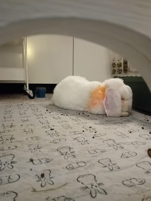 Klicke auf die Grafik f�r eine gr��ere Ansicht

Name:	IMG-20251123-WA0087.jpg
Hits:	0
Gr��e:	93,9 KB
ID:	215460