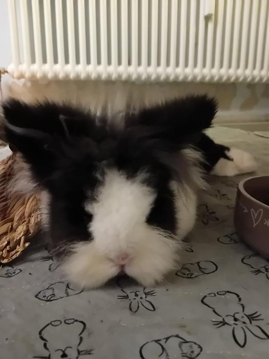 Klicke auf die Grafik f�r eine gr��ere Ansicht

Name:	IMG-20251123-WA0098.jpg
Hits:	0
Gr��e:	103,8 KB
ID:	215473