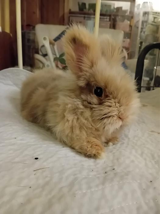 Klicke auf die Grafik f�r eine gr��ere Ansicht

Name:	IMG-20251123-WA0097.jpg
Hits:	0
Gr��e:	93,1 KB
ID:	215474