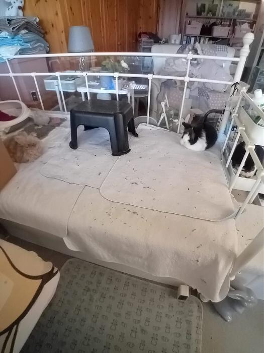 Klicke auf die Grafik f�r eine gr��ere Ansicht

Name:	IMG-20251123-WA0103.jpg
Hits:	1
Gr��e:	143,4 KB
ID:	215479