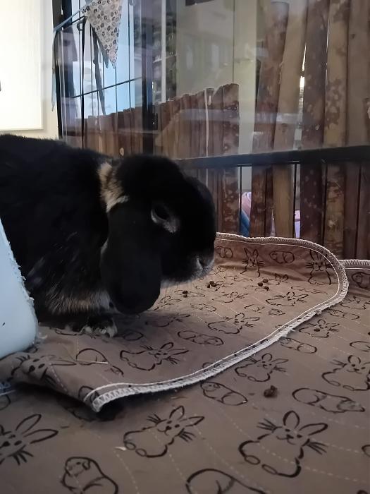 Klicke auf die Grafik f�r eine gr��ere Ansicht

Name:	IMG-20251123-WA0091.jpg
Hits:	0
Gr��e:	193,8 KB
ID:	215487