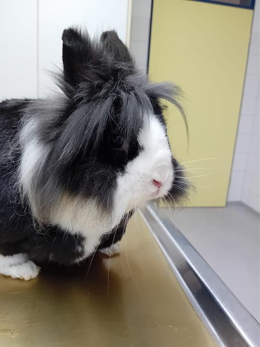 Klicke auf die Grafik f�r eine gr��ere Ansicht

Name:	IMG-20251123-WA0090.jpg
Hits:	0
Gr��e:	192,3 KB
ID:	215489