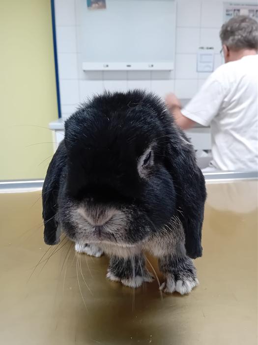 Klicke auf die Grafik f�r eine gr��ere Ansicht

Name:	IMG-20251123-WA0089.jpg
Hits:	0
Gr��e:	160,1 KB
ID:	215490