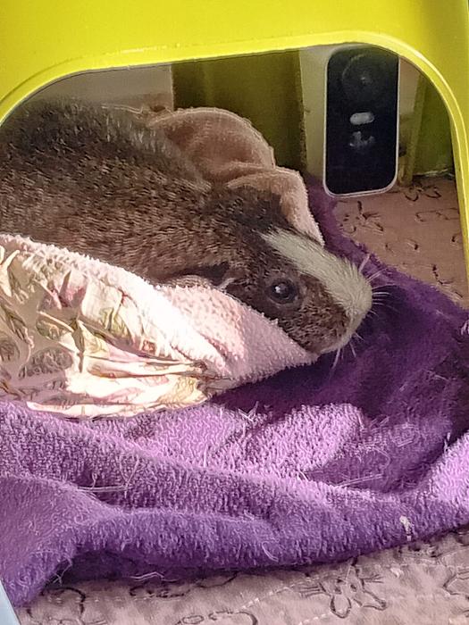 Klicke auf die Grafik f�r eine gr��ere Ansicht

Name:	IMG-20251123-WA0108.jpg
Hits:	0
Gr��e:	222,1 KB
ID:	215494