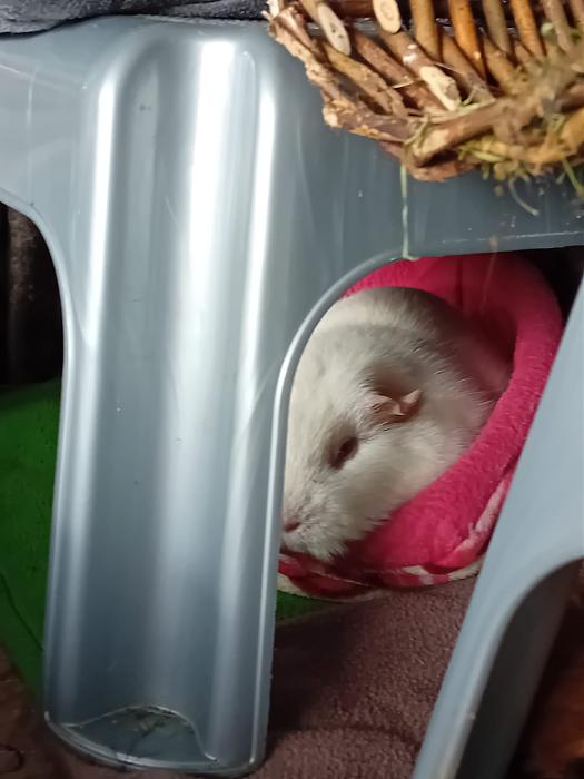 Klicke auf die Grafik f�r eine gr��ere Ansicht

Name:	IMG-20251123-WA0107.jpg
Hits:	0
Gr��e:	156,1 KB
ID:	215496