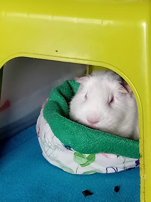 Klicke auf die Grafik f�r eine gr��ere Ansicht

Name:	IMG-20251123-WA0109.jpg
Hits:	0
Gr��e:	176,4 KB
ID:	215497