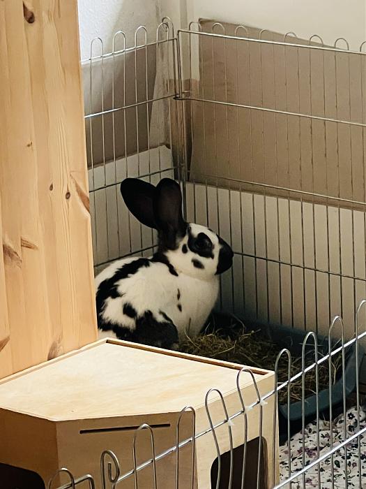 Klicke auf die Grafik f�r eine gr��ere Ansicht

Name:	IMG_5413.jpg
Hits:	2
Gr��e:	40,4 KB
ID:	215499