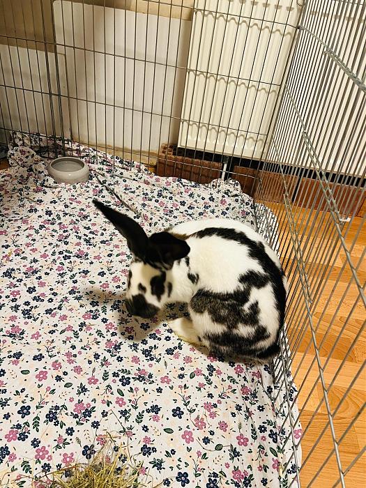 Klicke auf die Grafik f�r eine gr��ere Ansicht

Name:	3e6dfc39-d8da-4a9f-ad2d-9211bdf354e9.jpg
Hits:	0
Gr��e:	91,8 KB
ID:	215531