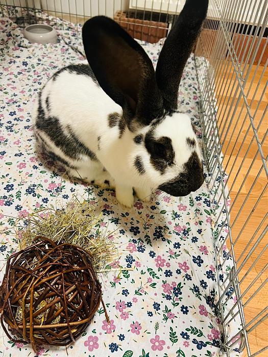 Klicke auf die Grafik f�r eine gr��ere Ansicht

Name:	5680aa79-dec1-4cb8-89f6-9101f1873069.jpg
Hits:	0
Gr��e:	79,4 KB
ID:	215532