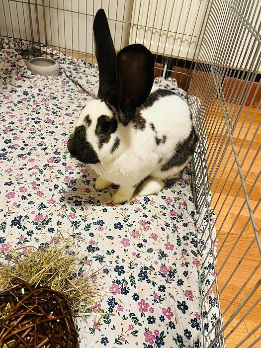 Klicke auf die Grafik f�r eine gr��ere Ansicht

Name:	a18f6242-513b-4f5e-9494-324bcb20f825.jpg
Hits:	0
Gr��e:	87,9 KB
ID:	215533