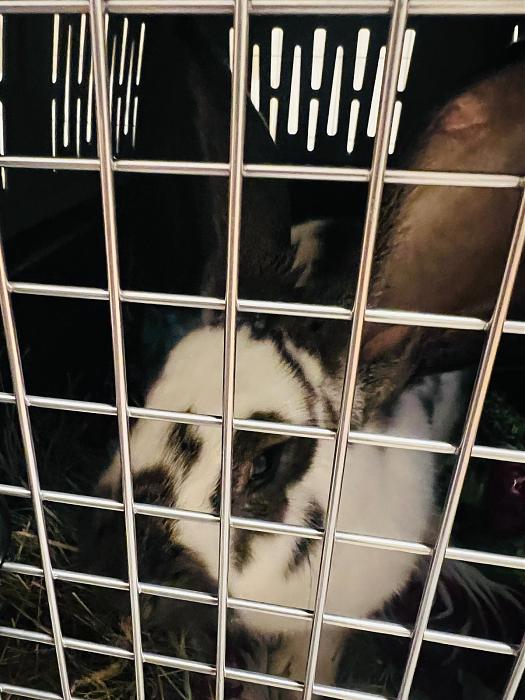 Klicke auf die Grafik f�r eine gr��ere Ansicht

Name:	690d4cb1-e26d-4dab-94a6-d8a7353da143.jpg
Hits:	0
Gr��e:	44,4 KB
ID:	215538