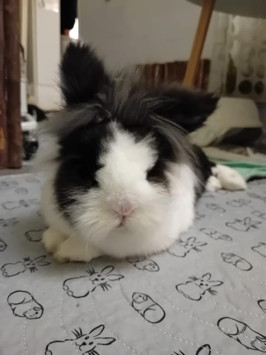 Klicke auf die Grafik f�r eine gr��ere Ansicht

Name:	IMG-20251201-WA0073.jpg
Hits:	1
Gr��e:	88,4 KB
ID:	215606