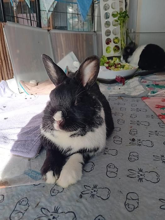 Klicke auf die Grafik f�r eine gr��ere Ansicht

Name:	IMG-20251201-WA0066.jpg
Hits:	0
Gr��e:	187,4 KB
ID:	215608