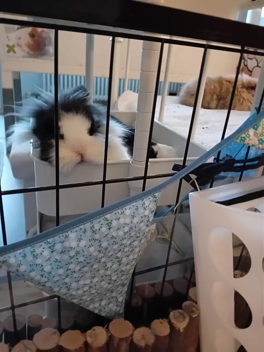 Klicke auf die Grafik f�r eine gr��ere Ansicht

Name:	IMG-20251201-WA0071.jpg
Hits:	0
Gr��e:	130,5 KB
ID:	215618