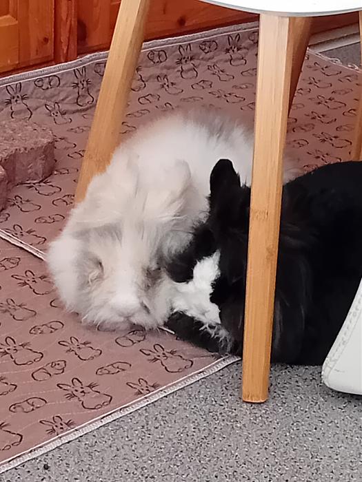 Klicke auf die Grafik f�r eine gr��ere Ansicht

Name:	IMG-20251201-WA0064.jpg
Hits:	0
Gr��e:	172,7 KB
ID:	215619