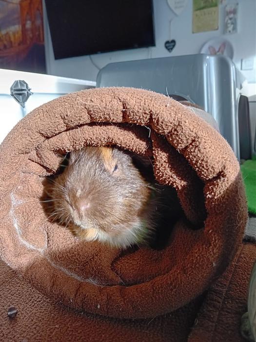 Klicke auf die Grafik f�r eine gr��ere Ansicht

Name:	IMG-20251201-WA0055.jpg
Hits:	0
Gr��e:	245,8 KB
ID:	215620