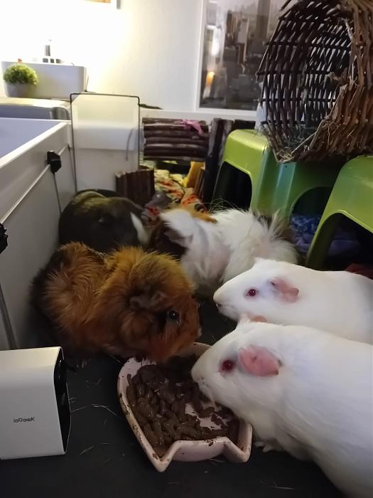 Klicke auf die Grafik f�r eine gr��ere Ansicht

Name:	IMG-20251201-WA0059.jpg
Hits:	0
Gr��e:	116,6 KB
ID:	215621