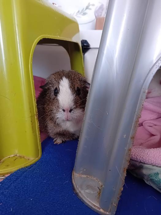 Klicke auf die Grafik f�r eine gr��ere Ansicht

Name:	IMG-20251201-WA0057.jpg
Hits:	0
Gr��e:	121,4 KB
ID:	215623