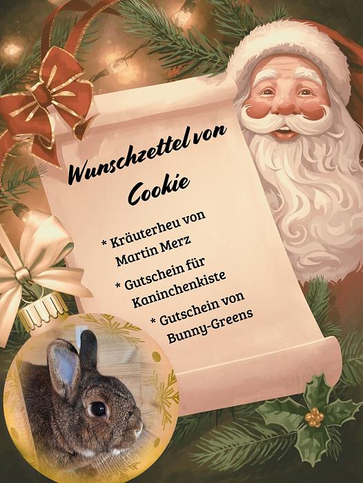 Klicke auf die Grafik f�r eine gr��ere Ansicht

Name:	Wunschzettel Cookie.jpg
Hits:	0
Gr��e:	206,2 KB
ID:	215644