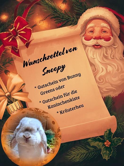 Klicke auf die Grafik f�r eine gr��ere Ansicht

Name:	Wunschzettel Snoopy.jpg
Hits:	0
Gr��e:	197,8 KB
ID:	215645