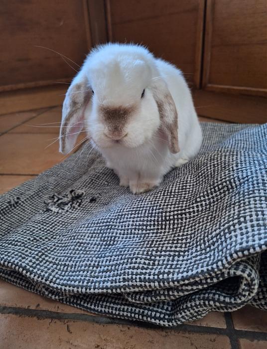 Klicke auf die Grafik f�r eine gr��ere Ansicht

Name:	Screenshot_20251203_222608_Gallery.jpg
Hits:	1
Gr��e:	196,8 KB
ID:	215657