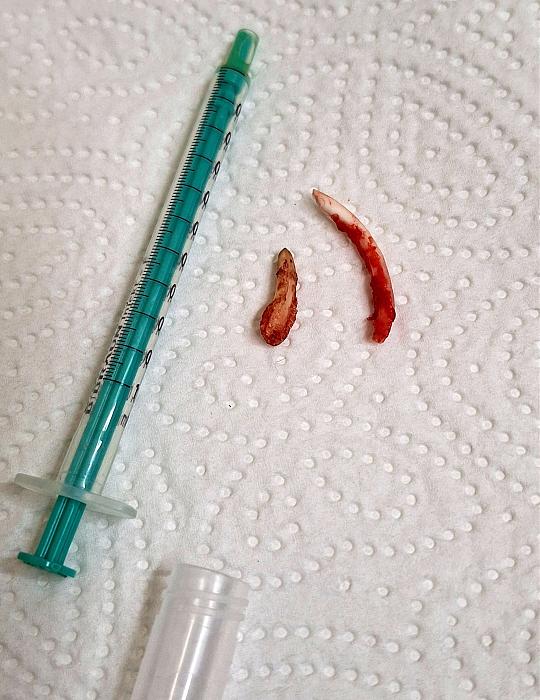 Klicke auf die Grafik f�r eine gr��ere Ansicht

Name:	Screenshot_20251204_232500_Gallery.jpg
Hits:	0
Gr��e:	179,0 KB
ID:	215660