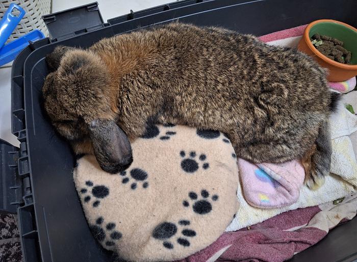 Klicke auf die Grafik f�r eine gr��ere Ansicht

Name:	Screenshot_20251204_232524_Gallery.jpg
Hits:	1
Gr��e:	151,5 KB
ID:	215661