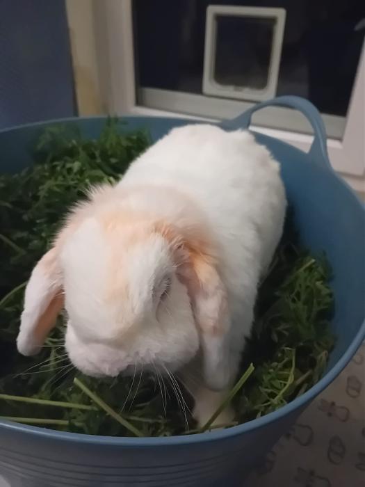 Klicke auf die Grafik f�r eine gr��ere Ansicht

Name:	IMG-20251207-WA0045.jpg
Hits:	0
Gr��e:	139,8 KB
ID:	215676