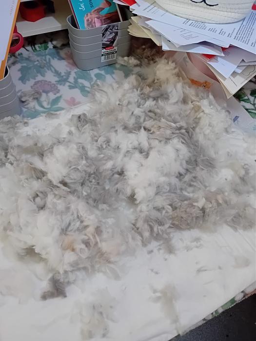 Klicke auf die Grafik f�r eine gr��ere Ansicht

Name:	IMG-20251207-WA0056.jpg
Hits:	0
Gr��e:	188,6 KB
ID:	215680