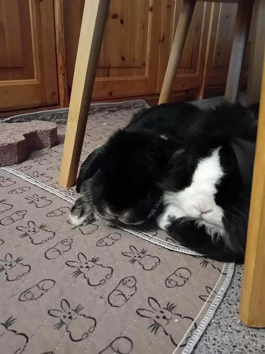 Klicke auf die Grafik f�r eine gr��ere Ansicht

Name:	IMG-20251207-WA0049.jpg
Hits:	0
Gr��e:	199,3 KB
ID:	215681