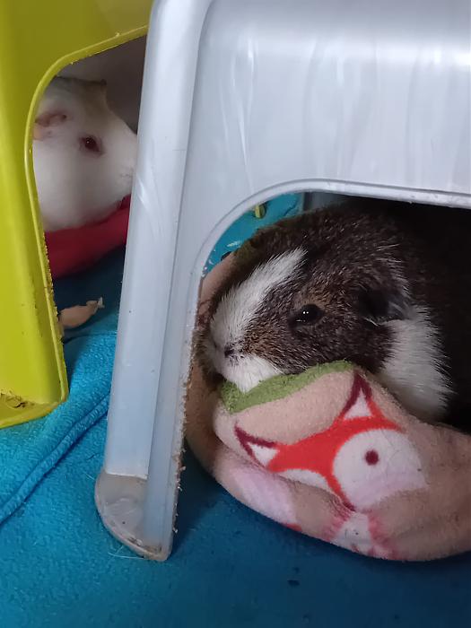 Klicke auf die Grafik f�r eine gr��ere Ansicht

Name:	IMG-20251207-WA0050.jpg
Hits:	0
Gr��e:	167,0 KB
ID:	215683