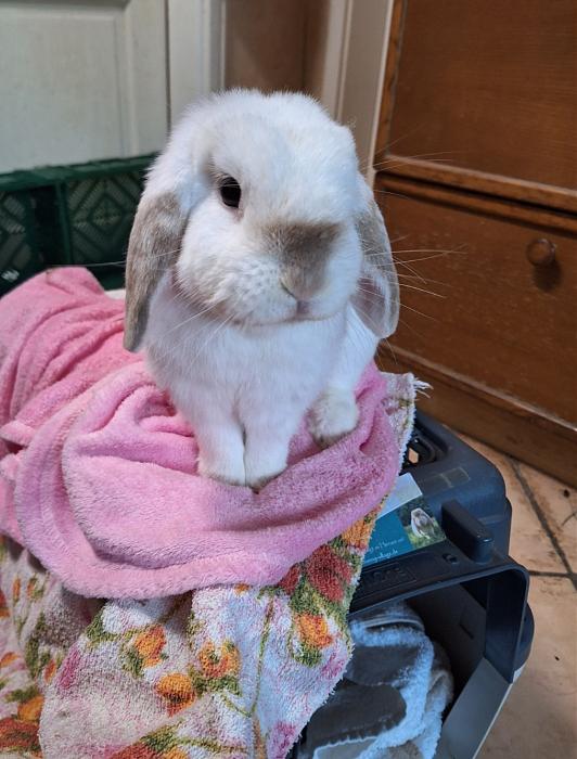 Klicke auf die Grafik f�r eine gr��ere Ansicht

Name:	Screenshot_20251211_224521_Gallery.jpg
Hits:	6
Gr��e:	144,2 KB
ID:	215712