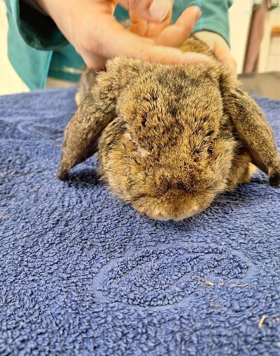 Klicke auf die Grafik f�r eine gr��ere Ansicht

Name:	Screenshot_20251211_225815_Gallery.jpg
Hits:	0
Gr��e:	273,5 KB
ID:	215713