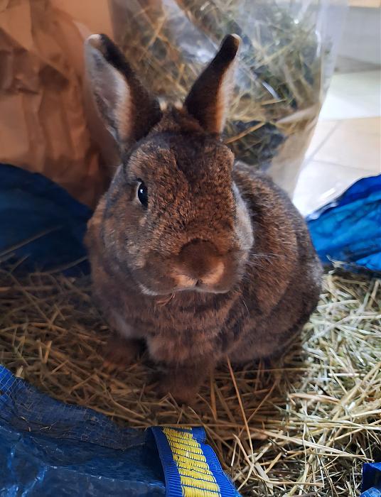 Klicke auf die Grafik f�r eine gr��ere Ansicht

Name:	Screenshot_20251211_231640_Gallery.jpg
Hits:	0
Gr��e:	296,1 KB
ID:	215716