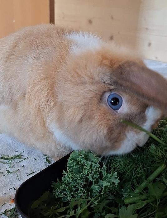 Klicke auf die Grafik f�r eine gr��ere Ansicht

Name:	Screenshot_20251211_232307_Gallery.jpg
Hits:	0
Gr��e:	150,2 KB
ID:	215717