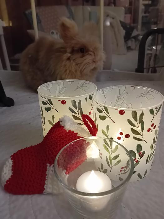 Klicke auf die Grafik f�r eine gr��ere Ansicht

Name:	IMG-20251214-WA0048.jpg
Hits:	0
Gr��e:	168,1 KB
ID:	215733