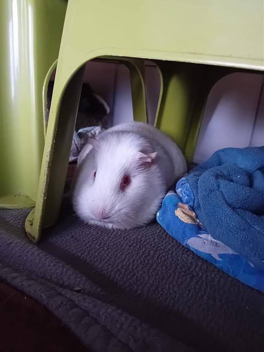 Klicke auf die Grafik f�r eine gr��ere Ansicht

Name:	IMG-20251214-WA0056.jpg
Hits:	0
Gr��e:	180,1 KB
ID:	215739